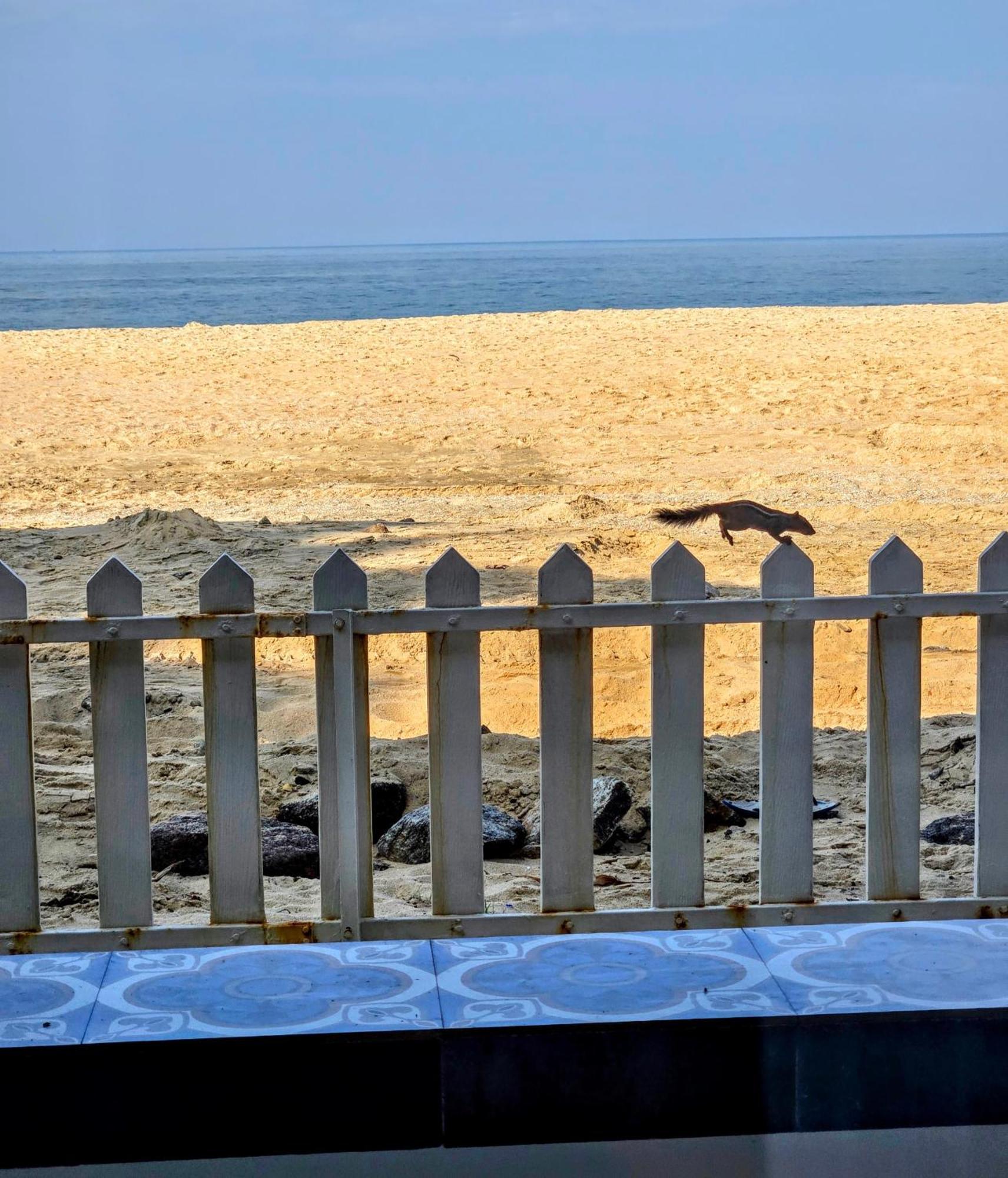 Ether Marari Beachfront Mararikulam Exterior photo